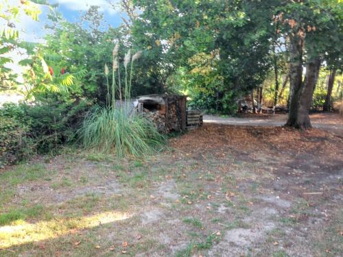 an old structure in a field with trees and grass at Charmant chalet à Sanguinet avec jardin et terrasse in Sanguinet