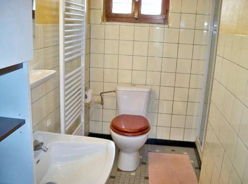 a small bathroom with a toilet and a sink at Appartement charmant à Jebsheim avec terrasse et jardin in Jebsheim