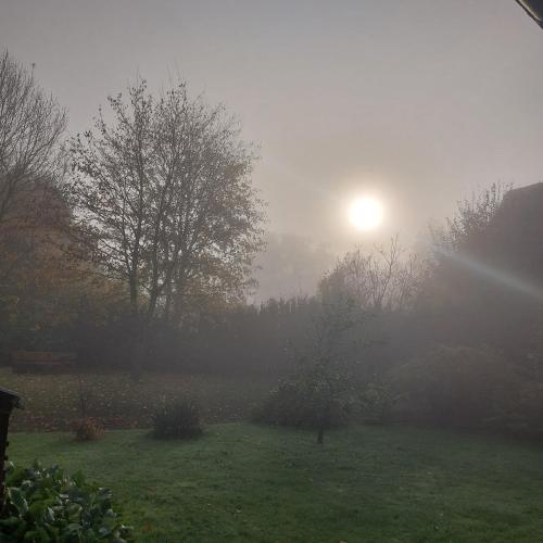 a foggy field with the sun in the background at Klosterblick in Bad Doberan