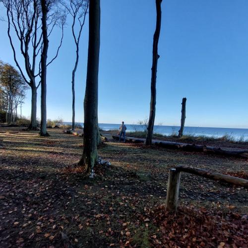 a person walking on a path near the beach at Klosterblick in Bad Doberan