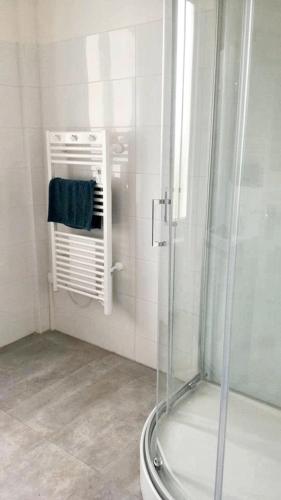 une salle de bain avec une douche avec une porte vitrée dans l'établissement Maison cosy à Pontorson avec jardin clos et terrasse, à Pontorson