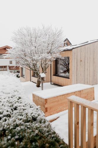 biYou Ecoquartier in den Bergen en invierno