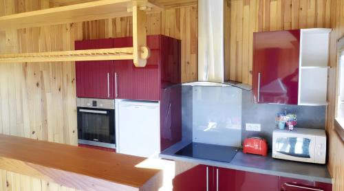 Η κουζίνα ή μικρή κουζίνα στο Chalet chaleureux à Darazac avec jardin de 60 m²