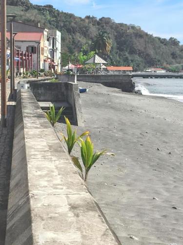 a sandy beach with some plants on the beach at Maison de charme à Saint-Pierre avec vue sur mer et montagne in Saint-Pierre