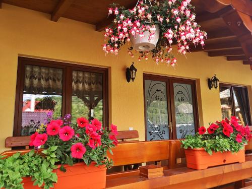 two pots of flowers on a bench in front of a building at Pensiunea Inima Maramureșului in Breb