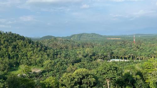 Un paisaje natural cerca de la casa vacacional