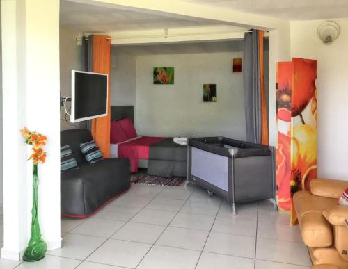a living room with a couch and a tv at Appartement charmant Deshaies vue mer in Deshaies
