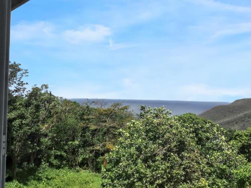 a group of trees with the ocean in the background at Appartement charmant Deshaies vue mer in Deshaies