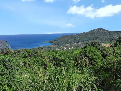 a view of the ocean from a hill with trees at Appartement charmant Deshaies vue mer in Deshaies
