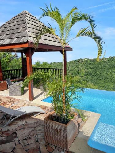 Bazén v ubytování Charmant Bungalow avec vue sur la mer à Marigot, 60 m², piscine. nebo v jeho okolí