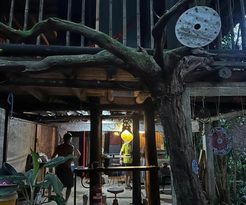 a tree growing out of the side of a building at Remo Hostel in Parati-Mirim