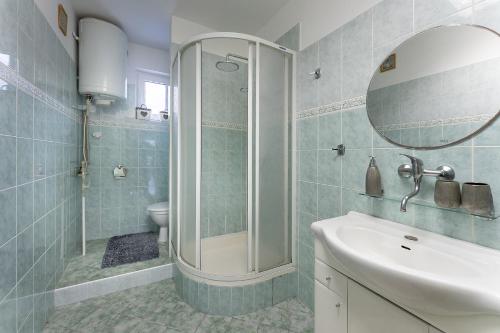 a bathroom with a shower and a sink and a mirror at Domeček na samotě in Terezín
