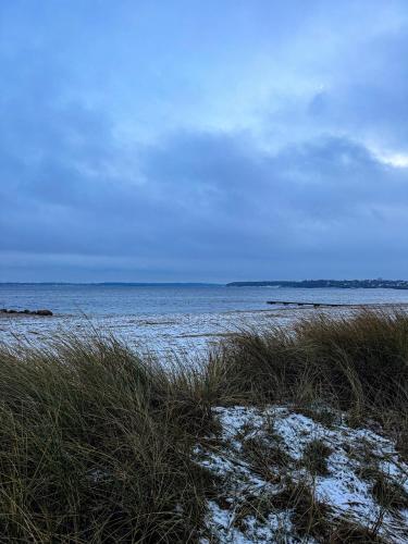 a beach with snow on the grass and the water at Strandhotel Strande in Strande