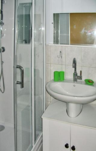 une salle de bain avec un lavabo et une douche dans l'établissement Appartement cosy Salins-les-Bains 18 m² Parking, à Salins-les-Bains