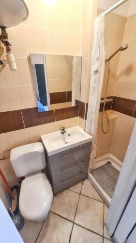 une salle de bain avec toilettes, lavabo et douche dans l'établissement Studio confortable à Hyères 22 m² + Terrasse C, à Hyères