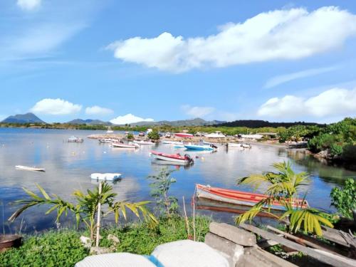 a group of boats in the water on a lake at Studio charmant à Sainte-Luce, 28 m², terrasse et jardin. in Sainte-Luce