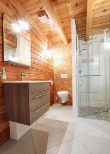 une salle de bain avec une douche, un lavabo et des toilettes dans l'établissement Maison charmante avec vue sur montagne près d'Yssingeaux, à Yssingeaux