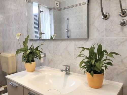 a bathroom with two potted plants on a sink at Welcoming apartment in Novigrad, 40 m² with peaceful garden in Novigrad Istria