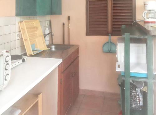 ラ・トリニテにあるStudio charmant La Trinité 20 m² + jardinのシンクとカウンタートップのあるキッチン