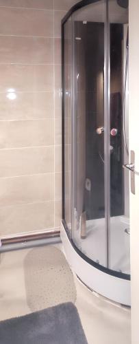 La salle de bains est pourvue d'une douche en verre avec un tapis. dans l'établissement Charmant appartement à Gouaux-de-Larboust avec vue montagne, à Gouaux-de-Larboust