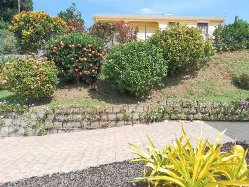 a garden with bushes and a stone wall at Appartement cosy à La Trinité, 20 m², avec jardinlo in La Trinité
