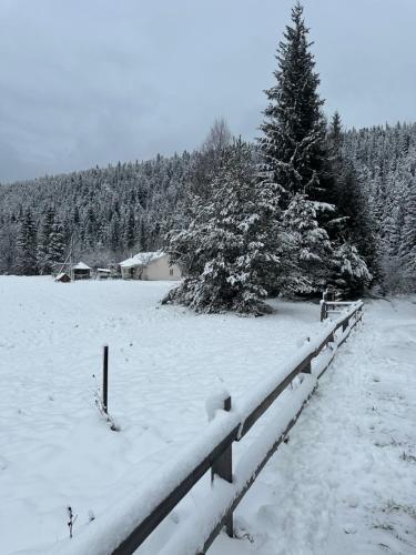 a fence in a snow covered field with a tree at Bambetli in Tatariv