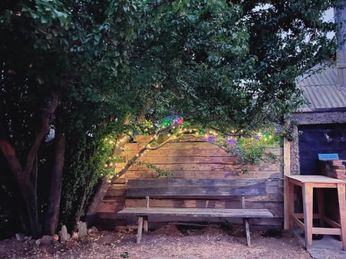 a wooden bench under a tree with lights on it at SURFHOUSE Pichilemu in Pichilemu
