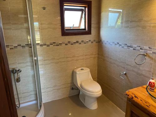a bathroom with a toilet and a shower at Cabaña en Condominio en Pucon in Pucón