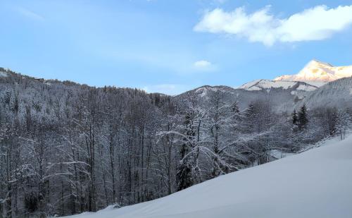 a mountain in the distance with snow on the trees at Appartement confortable avec vue sur la montagne in Notre-Dame-de-Bellecombe