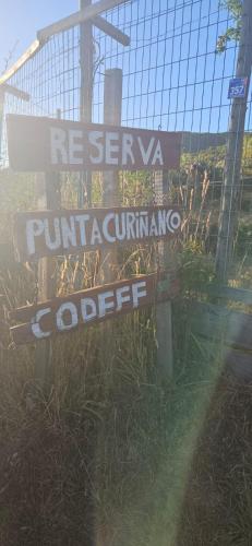 Gallery image of Cabaña ANN in Curiñanco