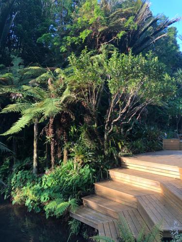 a wooden walkway next to a river with trees at Tranquil Studio in New Plymouth