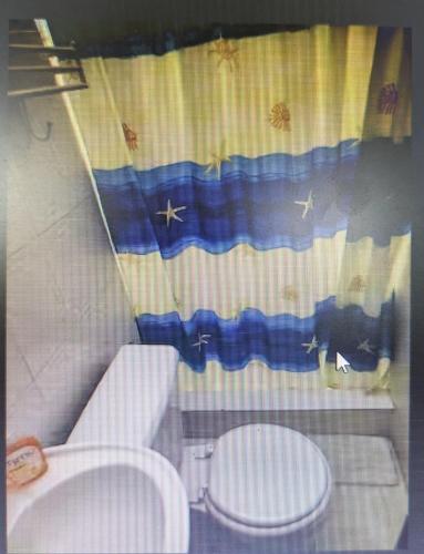 a bathroom with a toilet and a shower curtain at Fajardo Peaceful Place in Playa Sardinera