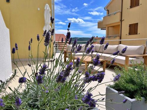 Fotografie z fotogalerie ubytování Apartments Pinta de Sol v destinaci Čižići