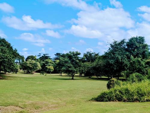 a field with trees and a blue sky with clouds at Fajardo Peaceful Place in Playa Sardinera