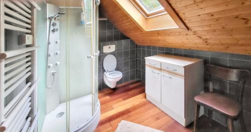 mała łazienka z toaletą i oknem w obiekcie Maison de charme à Wuenheim avec jardin et terrasse w mieście Wuenheim