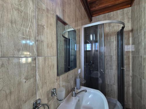 a bathroom with a sink and a mirror and a shower at Pensiunea Inima Maramureșului in Breb