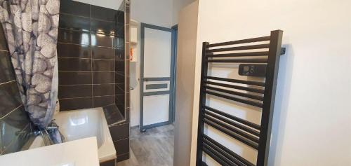 une salle de bain avec une douche, des toilettes et un lavabo dans l'établissement Charmant appartement à Carcassonne avec vue sur le jardin - 35m², à Carcassonne