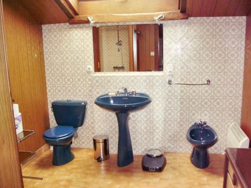 une salle de bain avec des toilettes bleues et un lavabo dans l'établissement Maison chaleureuse à Terres-de-Haute-Charente avec jardin, à Saint-Germain-et-Mons