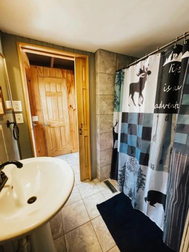 a bathroom with a sink and a shower curtain at Whispering Waters, Hocking Hills, Hot Tub, Pond in Rockbridge