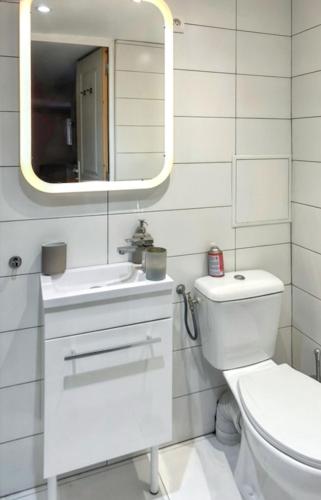 une salle de bain avec toilettes, lavabo et miroir dans l'établissement Appartement cosy à Les Pavillons-sous-Bois 30 m² avec jardin clôturé, à Les Pavillons-sous-Bois