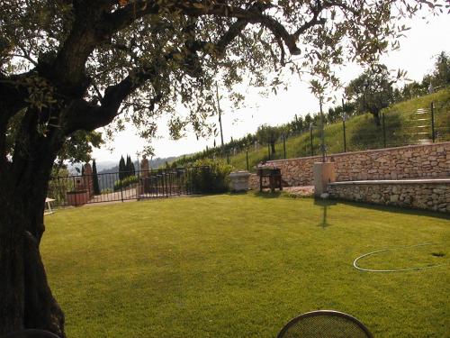 a large yard with a tree and a stone wall at B&B Al Cristo in SantʼAmbrogio di Valpolicella