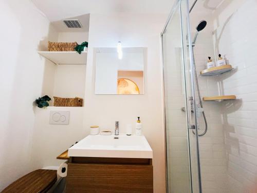 une salle de bain avec un lavabo et une douche dans l'établissement Studio rénové climatisé tout confort - Lit Queen size - emplacement idéal près des plages, à Nice