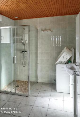 une salle de bain avec douche et lavabo dans l'établissement Maison accueillante avec jardin à Assay, à Assay