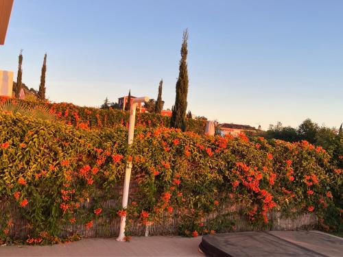 a fence with a bunch of red flowers at Casa Carolina - This One in Higuerón with Quality and Peace in Mijas