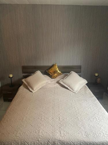 une chambre avec un lit avec deux oreillers dessus dans l'établissement Maison cosy centre-ville, à Luxeuil-les-Bains