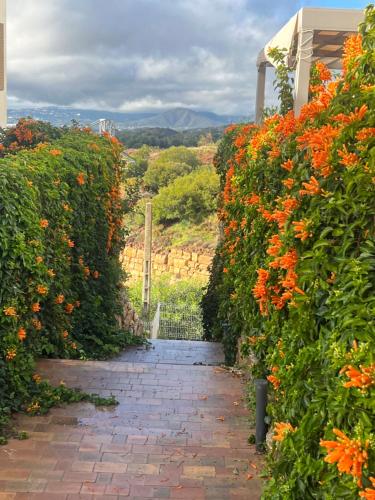 a brick path through a garden of orange flowers at Casa Carolina - This One in Higuerón with Quality and Peace in Mijas