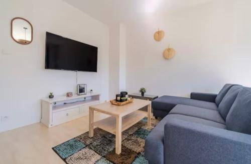 a living room with a blue couch and a tv at Lumineux, chaleureux et spacieux T2 parking wifi in Toulouse