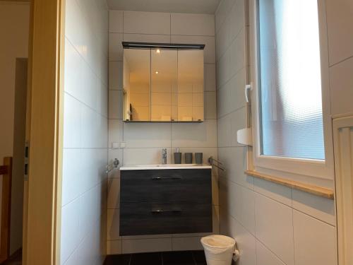 Bilik mandi di Ferienwohnung in Worms-Wiesoppenheim