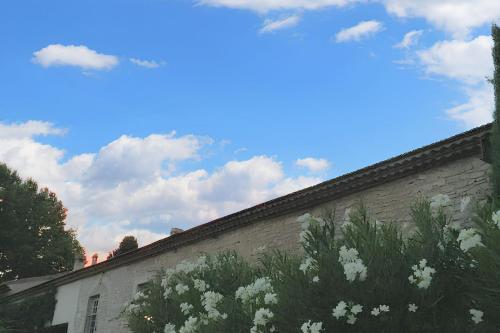 un mur en briques avec des fleurs blanches sur lui dans l'établissement Charmante Maison à Marsillargues, à Marsillargues