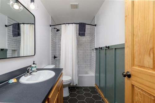 a bathroom with a sink and a toilet and a shower at Alpine Drift in Packwood